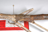 CollectionObject 1576614; 04e63718-9693-498a-925e-4acc8d677421: copyright USNM, Washington. female mid body (paratype). (CollectionObject).;CollectionObject 1576615; 6b99b982-327a-4ec0-b37d-1dfcae616e79: copyright USNM, Washington. female mid body (paratype). (CollectionObject).