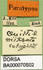 CollectionObject 1502230; a7da71a0-ee70-41e3-8082-fd2c54f4af74: labels (syntype). (CollectionObject).