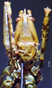 CollectionObject 1503227; 751d101e-5ddc-4878-9fb5-2d07cf13e1c2: male frons. (CollectionObject).