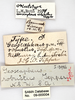 CollectionObject 1848718; 33d3ff74-ab70-458e-b9ba-ed2572ad8d6c: (CollectionObject).