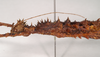 CollectionObject 1560946; NHMUK(SF IMPORT DUPLICATE) 844818, cfaf030c-94f6-4d87-be49-5da183b1d86d: copyright Natural History Museum, London. female: head and thorax, lateral view (holotype). (CollectionObject).