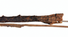 CollectionObject 1559914; ce5a0647-7815-4250-8099-b51abe49e650: copyright MNHN, Paris. male: end of abdomen, lateral view (holotype). (CollectionObject).