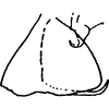 Pygofer, lateral view on Distantasca tiaca (Dworakowska, 1994): Genital capsule, lateral view. (Observation).
