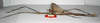 CollectionObject 1557412; 552b516a-3afe-403d-86eb-76071707d737: copyright MNHU, Berlin. male, lateral view of Palophus hippotaurus (holotype). (CollectionObject).