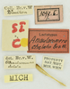 CollectionObject 1532142; 75202f9b-f5fa-4cfb-a1aa-6a67a6494ef7: labels (male syntype). (CollectionObject).