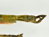 CollectionObject 1583388; 95523474-7e28-481d-9475-d50c7f3964df, QM T244506: copyright QM, Brisbane. male: end of abdomen, ventral view (paratype). (CollectionObject).