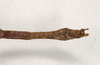 CollectionObject 1562186; a63acc98-9c60-4a9c-8f85-f0067c7ff579: copyright Natural History Museum, London. male: end of abdomen, dorsal view (syntype). (CollectionObject).