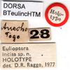 labels (holotype). Depicts CollectionObject 1500548; ee2733ee-4654-48aa-8e6b-aa7fe5c21e3b, a CollectionObject.