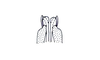 Ananotacris abditicolor Descamps, 1978: Fig. 82. Aedeagus (ventro-apical view). (Otu).