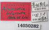 CollectionObject 1543935; f537ba37-e8fc-44f6-adf9-1b07d28d85eb: labels (paratype). (CollectionObject).