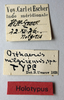 CollectionObject 1506164; a50d9ead-d8d8-42ec-90ae-b1fa5324645b: labels (holotype). (CollectionObject).