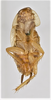 CollectionObject 1863267; 1b178631-e493-40dc-8fc5-c6f5f48f775d: (CollectionObject).
