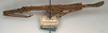 CollectionObject 1558457; NMW 730, f12ba778-4155-4184-b53e-dd3e801fd141: copyright NMW, Vienna. male (paralectotype). (CollectionObject).
