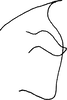 Pygofer appendages on Chelidinus cinerascens Emeljanov, 1962: caudal view. (Observation).