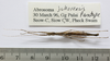 CollectionObject 1563745; 97054330-30aa-4406-979d-03c591b15d1b: copyright FRIM. male, ventral view (paratype). (CollectionObject).