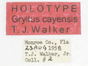 CollectionObject 1505486; ecc99b77-2b79-4c32-8f99-bd04746d18a8: labels (holotype). (CollectionObject).