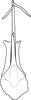 Aedeagus, ventral view on Anufrievia parisakazu Cao & Zhang, 2018: Aedeagus, ventral view. (Observation).