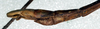 CollectionObject 1561606; NMW 327, 34346e12-c7c0-4552-b63f-c73c02b33c97: copyright NMW, Vienna. male: end of abdomen, lateral view (holotype). (CollectionObject).