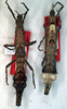 CollectionObject 1561513; 88060e94-e647-40e0-9189-68b535ab5e3e: copyright NMW. female (PLTs). (CollectionObject).;CollectionObject 1561514; 5fd96308-4c91-41c7-8ec8-7f0bf434395b: copyright NMW. female (PLTs). (CollectionObject).;CollectionObject 1561515; 22585315-22a9-413b-b72d-21025a72e899: copyright NMW. female (PLTs). (CollectionObject).