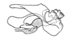 Lysacris festae (Giglio-Tos, 1898): Fig. 10. phallic complex, epiphallus and ectophallic membrane removed, lateral view. (Otu).