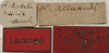 CollectionObject 1535204; b8d9cf98-030a-4367-94fd-2f8cddf12a30: labels (lectotype). (CollectionObject).