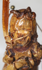 CollectionObject 1567634; b28d56ed-11fb-48fc-b9fa-cdf97da796d9: female, frontal view. (CollectionObject).