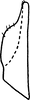 Subgenital plate: !! display not done !! on Ossiannilssonola berenice (McAtee, 1926): Subgenital plate. (Observation).