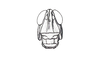 Orotettix andeanus (Bruner, 1913): Fig. 17. male, head, frontal view. (Otu).