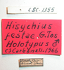 CollectionObject 1543595; e207d5d2-d403-4f91-ab93-6423f6d600cf: labels (holotype). (CollectionObject).