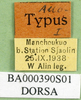 CollectionObject 1502342; 3f45a876-fa90-446a-938d-4df9958a3035: labels (allotype of Sinhippus alini). (CollectionObject).
