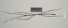 CollectionObject 1561040; NHMUK(SF IMPORT DUPLICATE) 844543, 2f694537-9527-4a74-b2ba-46f57868bed4: copyright Natural History Museum, London. male (paratype). (CollectionObject).