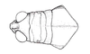 Atrachelacris unicolor Giglio-Tos, 1894: Fig. 2E. female head and pronotum, dorsal view. (Otu).