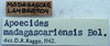 CollectionObject 1520674; b33062fc-4914-4a64-b87d-07a1160f2457: labels. (CollectionObject).