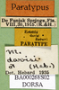 CollectionObject 1501942; 7f990179-332e-4c2a-b5fd-8ecdd4c2f333: labels (paratype). (CollectionObject).