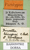 CollectionObject 1502720; 81703675-ec04-4c2a-8cbf-97478e53a76e: labels (paratype). (CollectionObject).