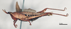 CollectionObject 1578633; f60fb00e-ecf2-4b36-860a-fe3342d1a774: female, lateral view (paralectotype). (CollectionObject).