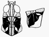 Dociostaurus (Dociostaurus) salmani Demirsoy, 1979: male head and pronotum. (Otu).