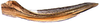 Ovipositor: !! display not done !! on Penthimia americana Fitch, 1851: Penthimia americana, 1st valvula (INHS). (Observation).