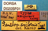 CollectionObject 1504995; 8d487d96-d2fe-4a2b-9cee-f0950bab590c: labels (syntype). (CollectionObject).