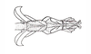 Dichroplus exilis Giglio-Tos, 1894: Fig. 49. endophallus, ventral view. (Otu).