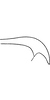 Pygofer, lateral view on Arboridia (Arboridia) koreacola (Matsumura, 1932): Pygofer appendage. (Observation).