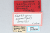 CollectionObject 1521735; d3e1f91e-730e-4bff-821e-d3be64772ccf, CNCI 311939: (CollectionObject).