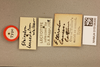 CollectionObject 1517504; 743341c7-ed5b-4eaa-bd6a-bd62ec8864ce: labels (holotype). (CollectionObject).