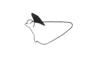 Aptoceras punctipes Descamps, 1981: Fig. 40. male cercus, internal face. (Otu).