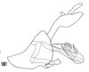 Pygofer, lateral view on Oecleus venosus Van Duzee, 1912: (Observation).