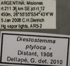 Other: !! display not done !! on Diestostemma ptolyca Distant, 1908: Labels. (Observation).