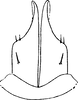 Subgenital plate: Subgenital plate. (Observation).