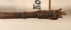 CollectionObject 1561454; 23e893d9-9a73-41bd-bcdb-62c55e4010cc: copyright OUMNH. male: end of abdomen, dorsal view (syntype). (CollectionObject).;CollectionObject 1561455; d4690fb8-82db-4776-a5e6-00b5fb32a05f: copyright OUMNH. male: end of abdomen, dorsal view (syntype). (CollectionObject).