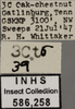 Other: !! display not done !! on Empoa (Empoa) querci Fitch, 1851: (Observation).