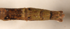 CollectionObject 1562011; d0fd38b0-812a-4732-b437-3bae1f4bbb2a: copyright OUMNH. female: end of abdomen, dorsal view of Necroscia erechtheus (syntype). (CollectionObject).